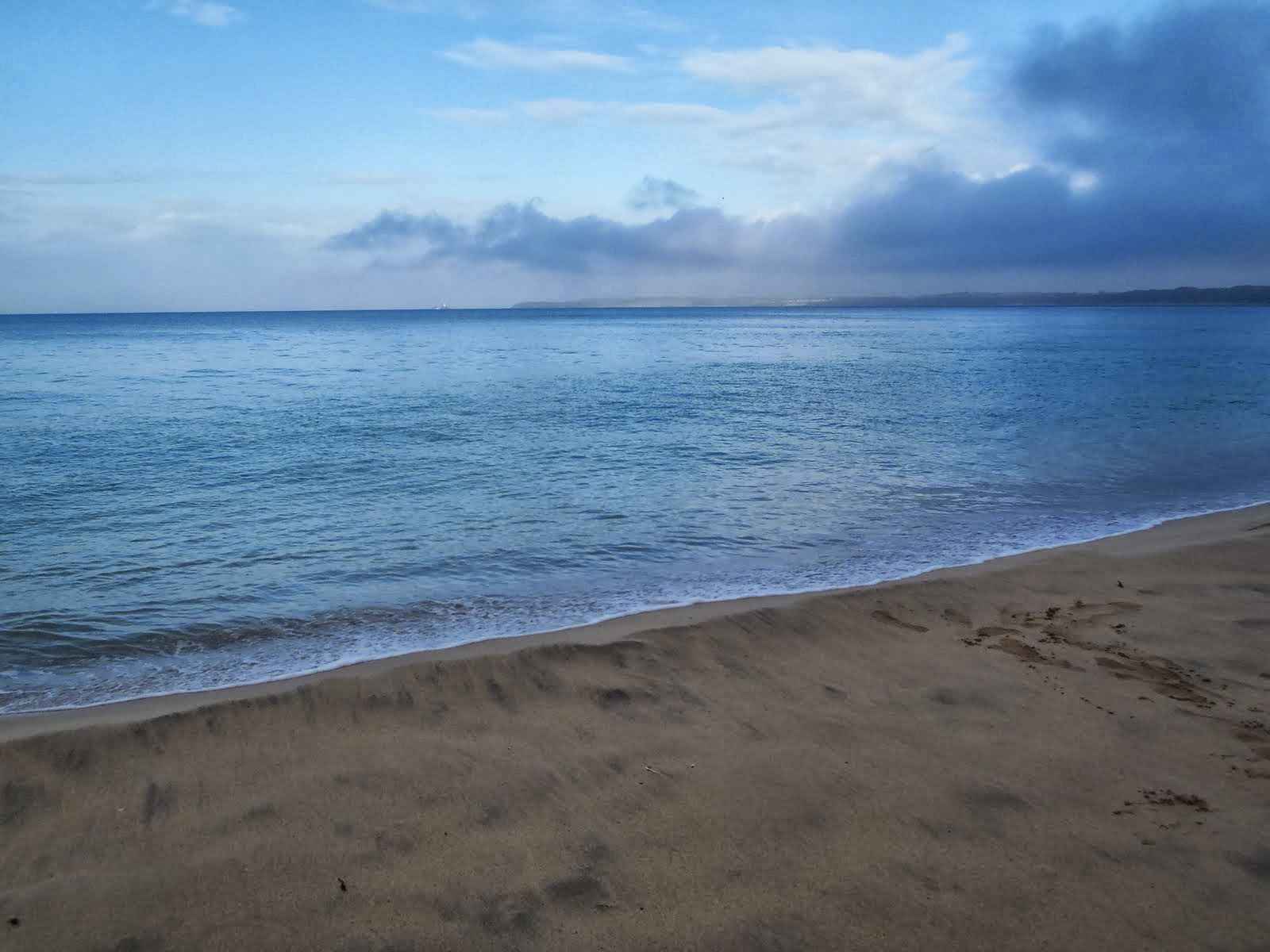 PA170540