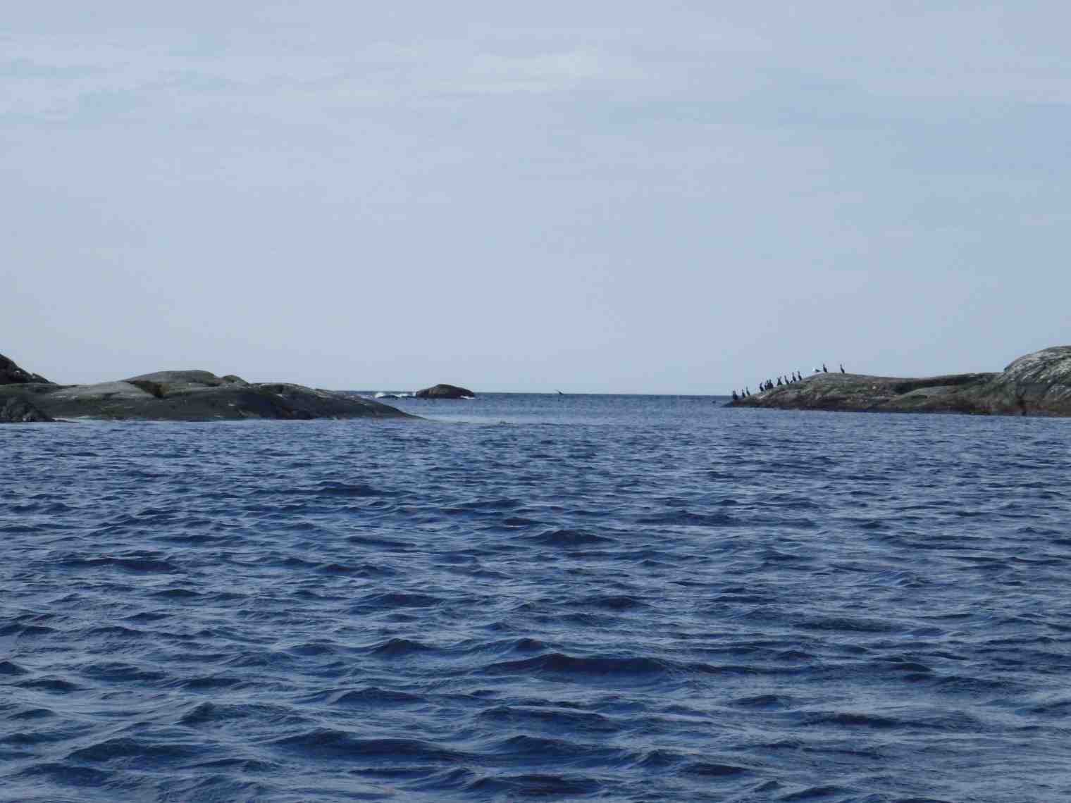 P4040264