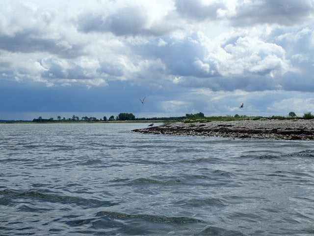 P8050219