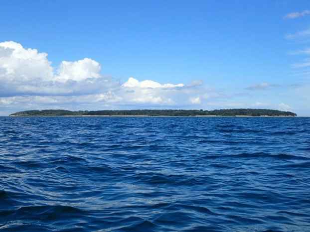 P8050226