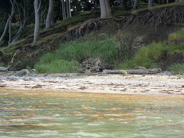 P8050244
