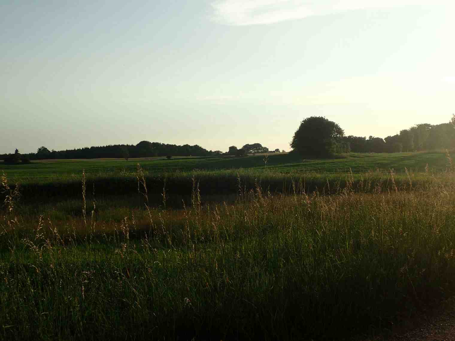 P6040078